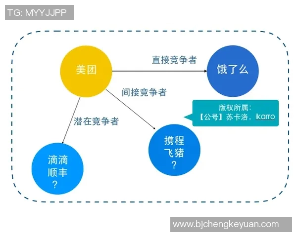 南京羽毛球队运营模式解析与发展趋势探讨